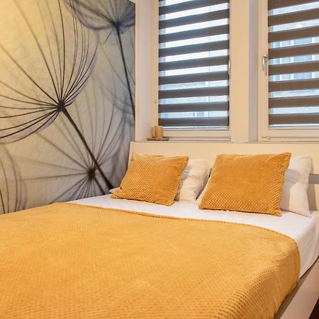 3D Kosciuszki 19 Apartament 克拉科夫 外观 照片
