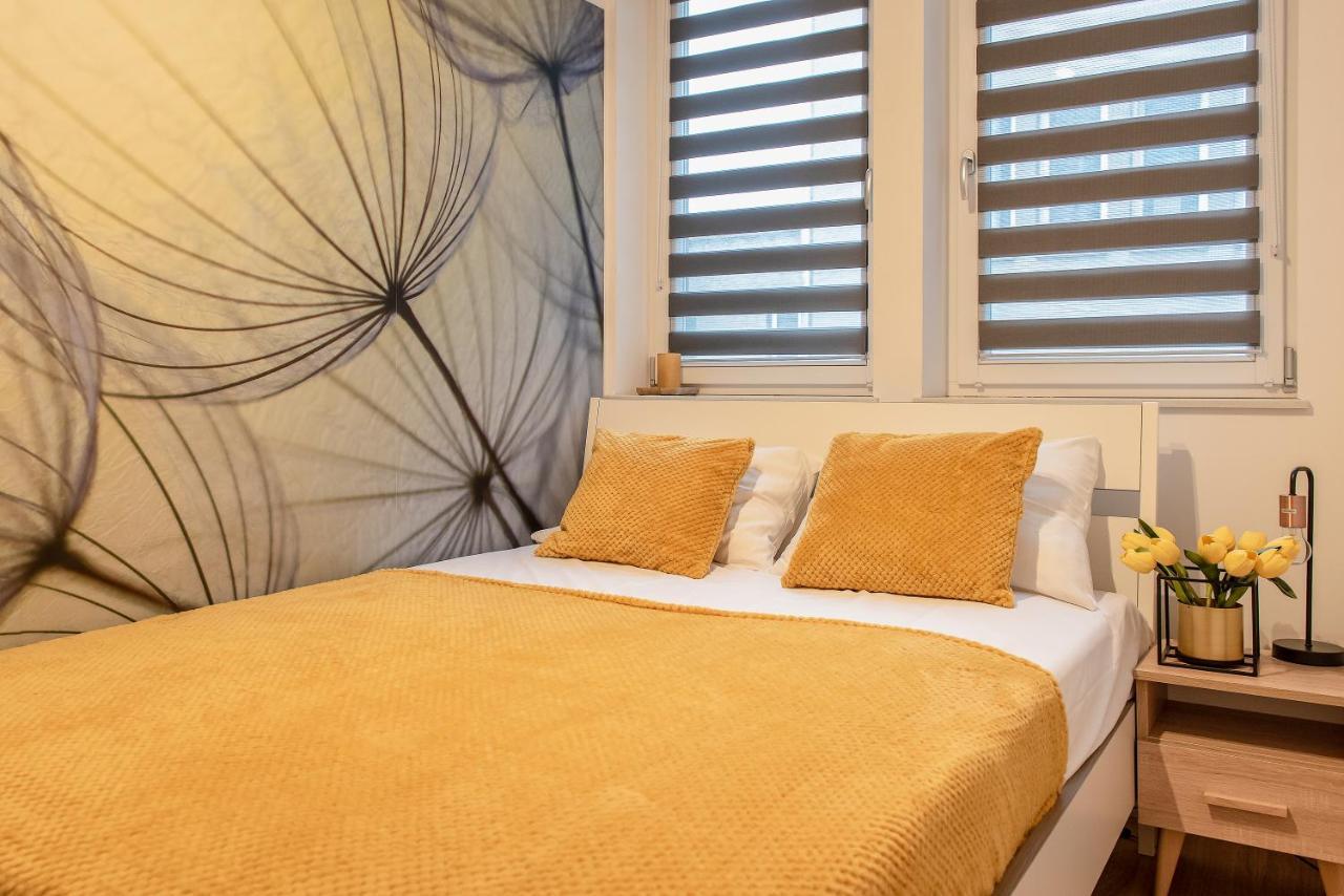 3D Kosciuszki 19 Apartament 克拉科夫 外观 照片