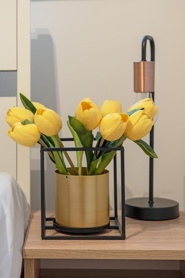 3D Kosciuszki 19 Apartament 克拉科夫 外观 照片