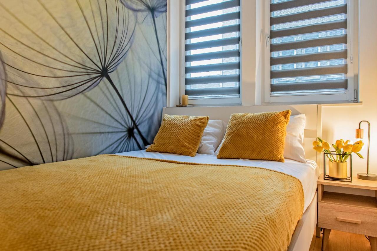 3D Kosciuszki 19 Apartament 克拉科夫 外观 照片